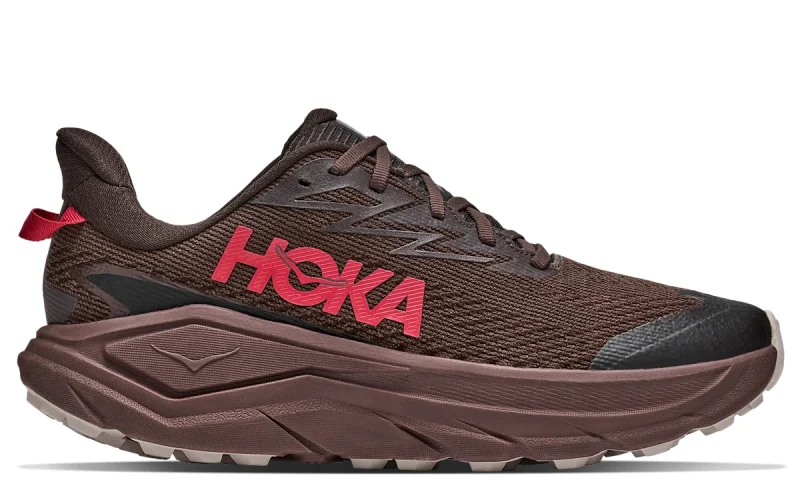 HOKA Challenger 8 GORE-TEX "Spiced Chocolate Cast Iron" Heren schoenen